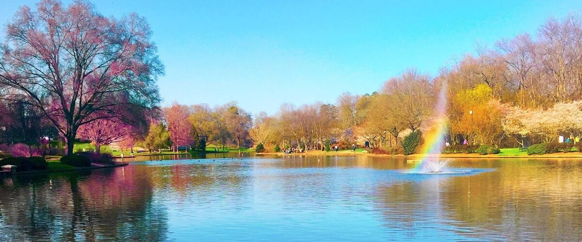 Great place for a walk