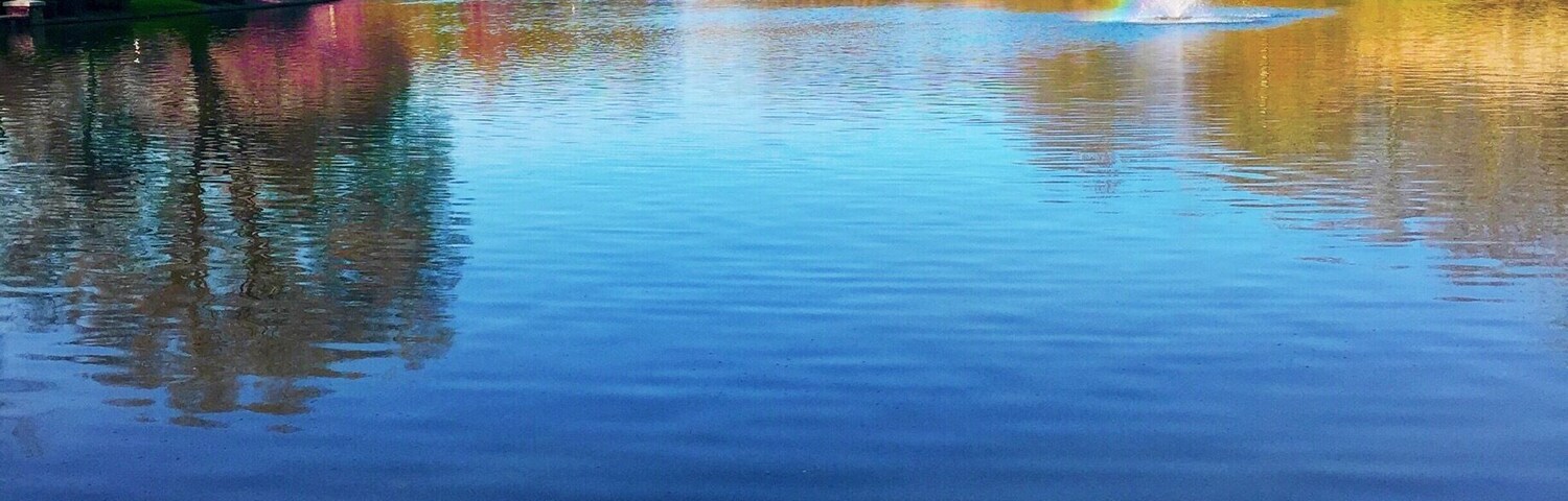 Great place for a walk