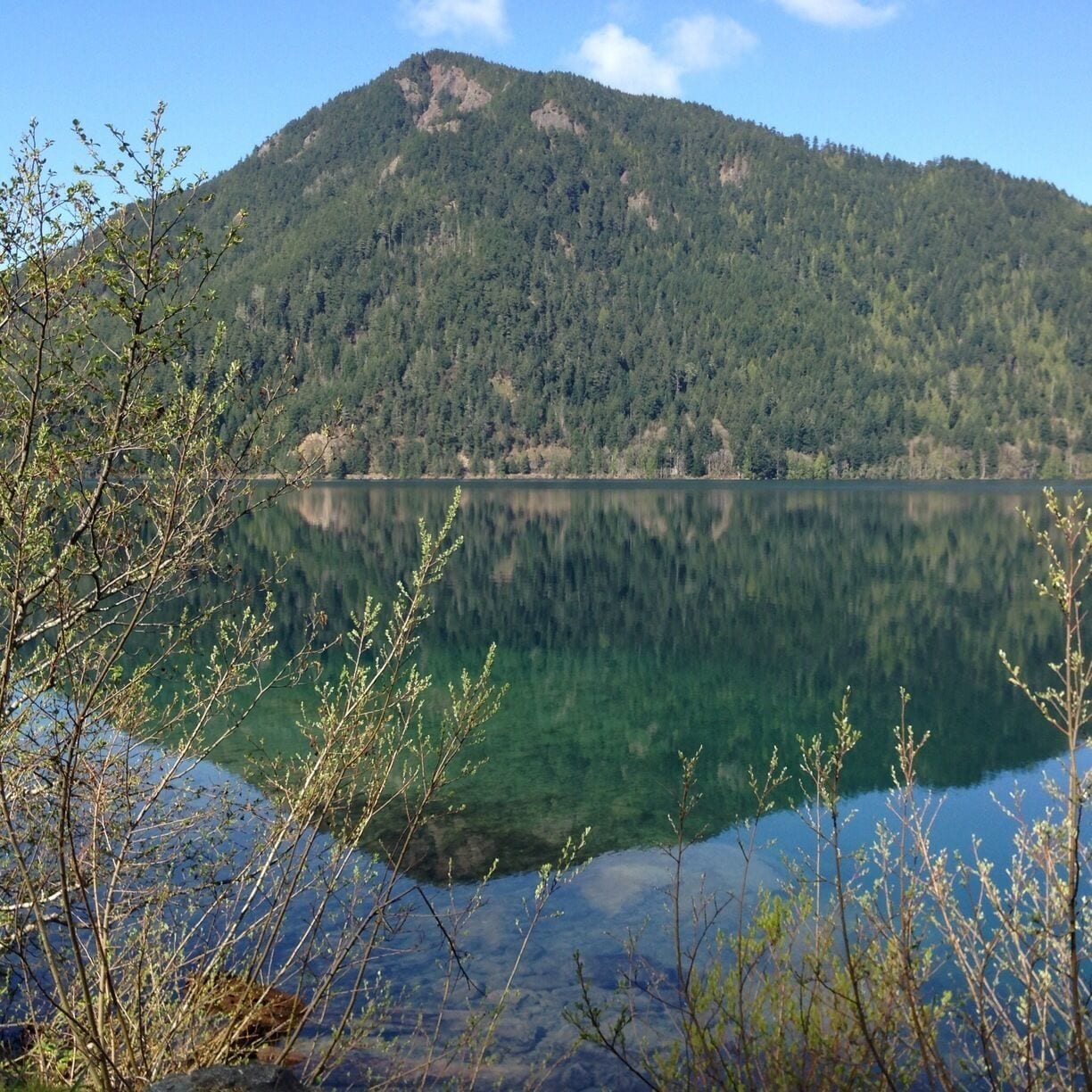 #torveon I want to live on the Olympic Peninsula just to be closer to this lake! The water is brilliantly clear - truly one of my happy places!