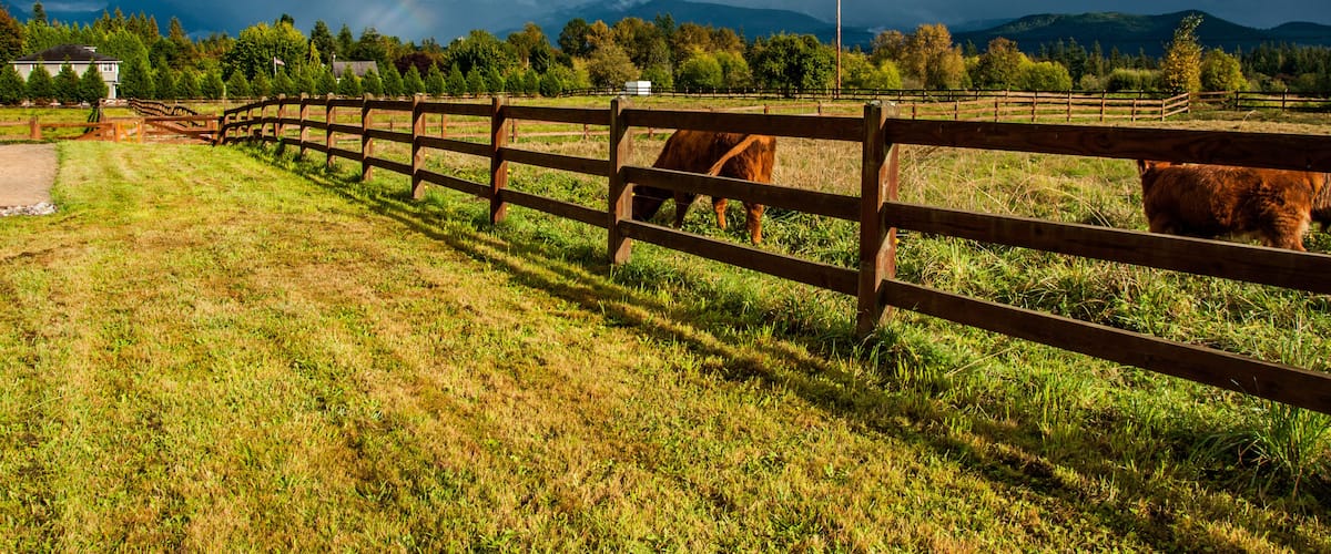 A fenced pasture with grazing cows, a clear sky, and distant mountains.