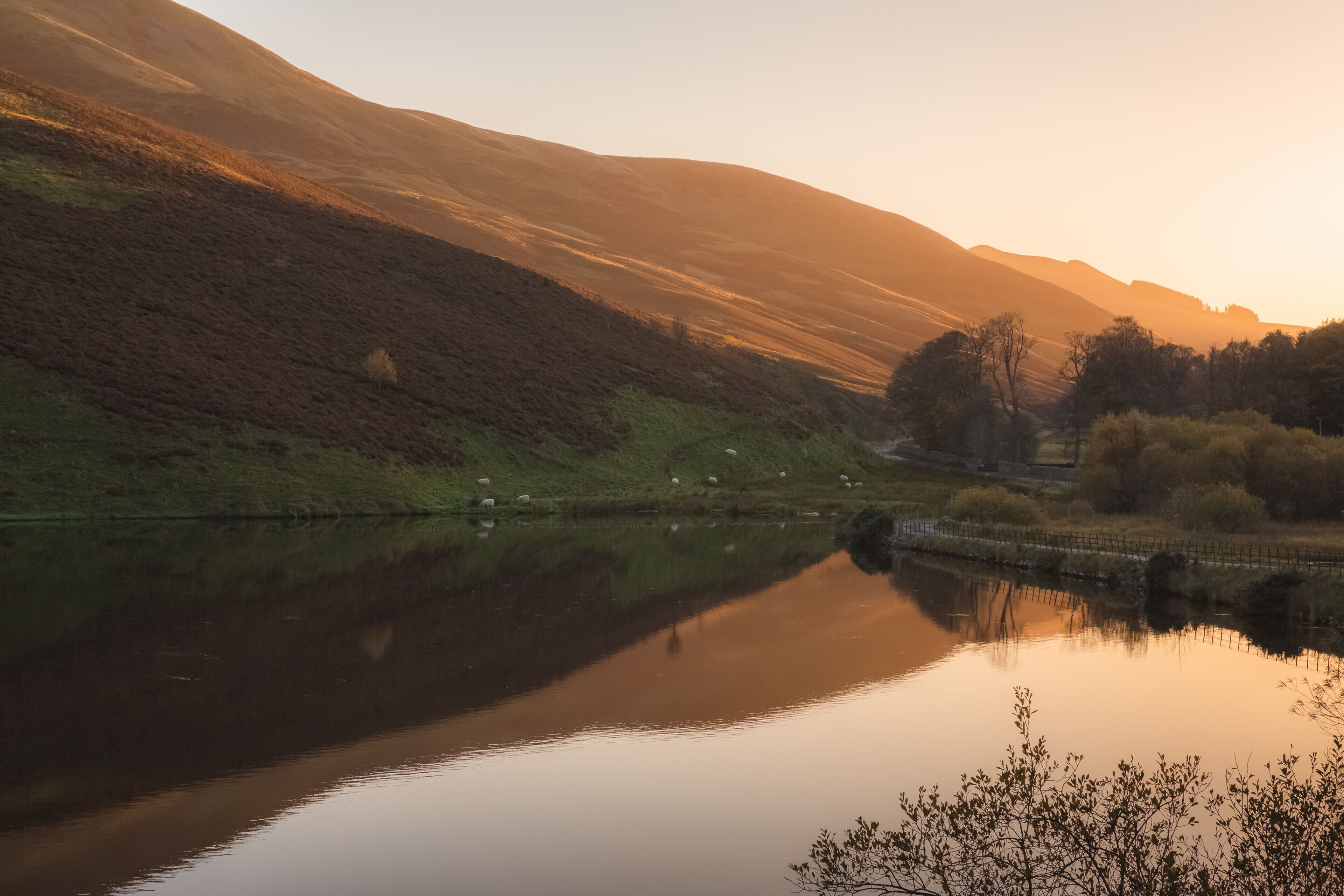 A calm, still peaceful countryside landscape at sunset or sunrise at Glencorse Resevoir in the Pentland Hills Regional Park in Edinburgh, Midlothian, Scotland.