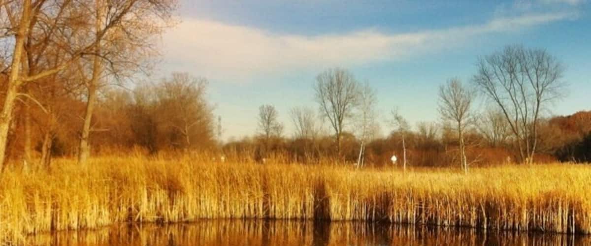 #pond #fall