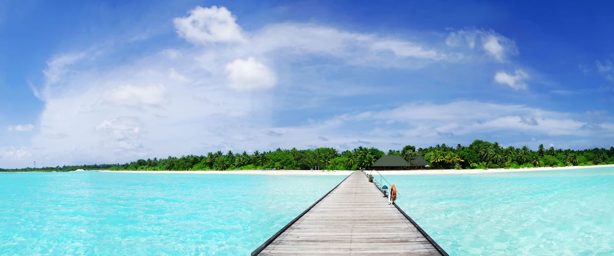 A wooden pier leading to a tropical island with a beach and dense palm trees.