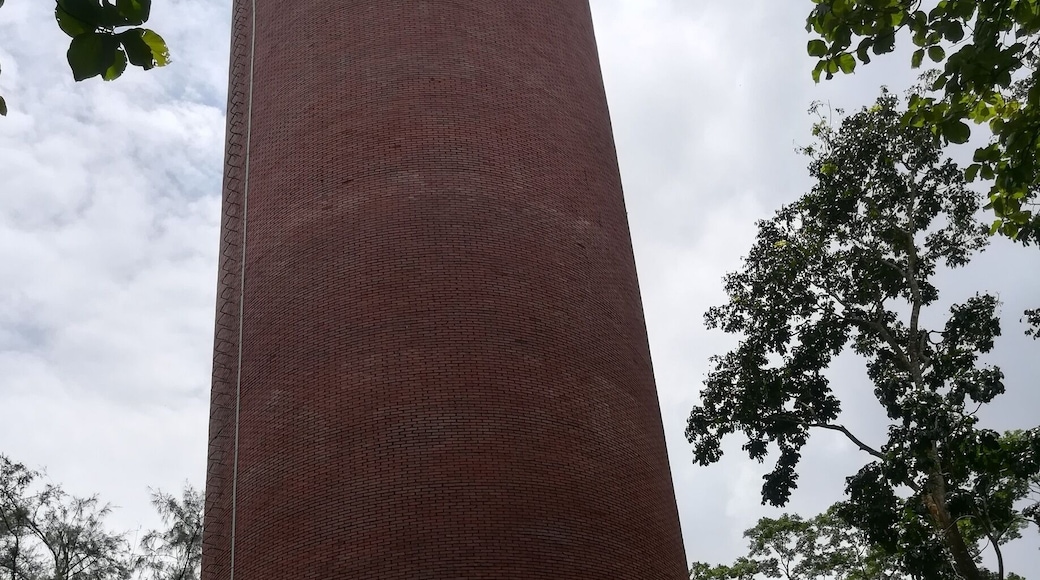 This is at Botanical garden in Mymanshingh Agricultural University.