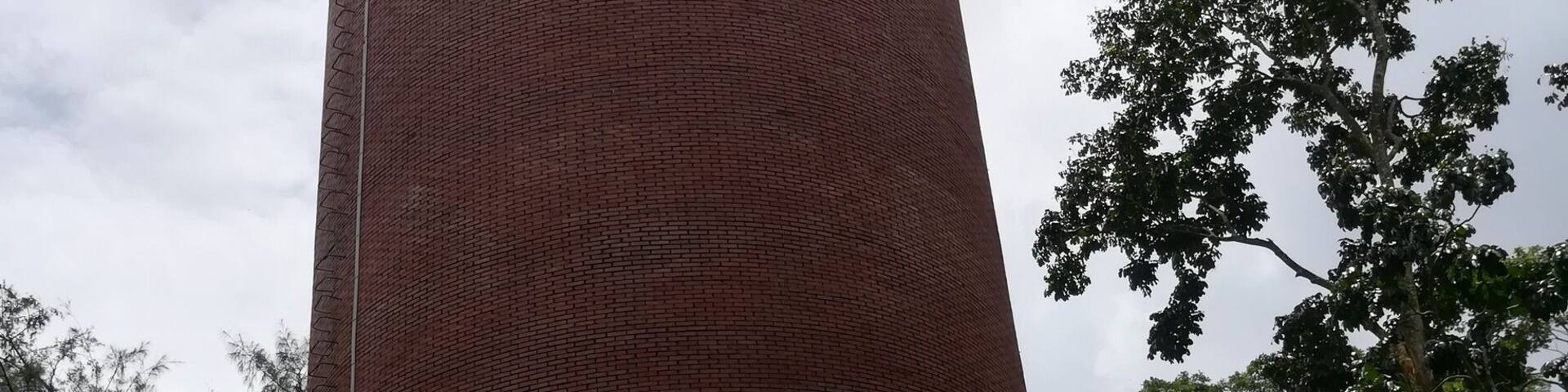 This is at Botanical garden in Mymanshingh Agricultural University.