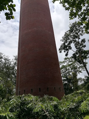 This is at Botanical garden in Mymanshingh Agricultural University.