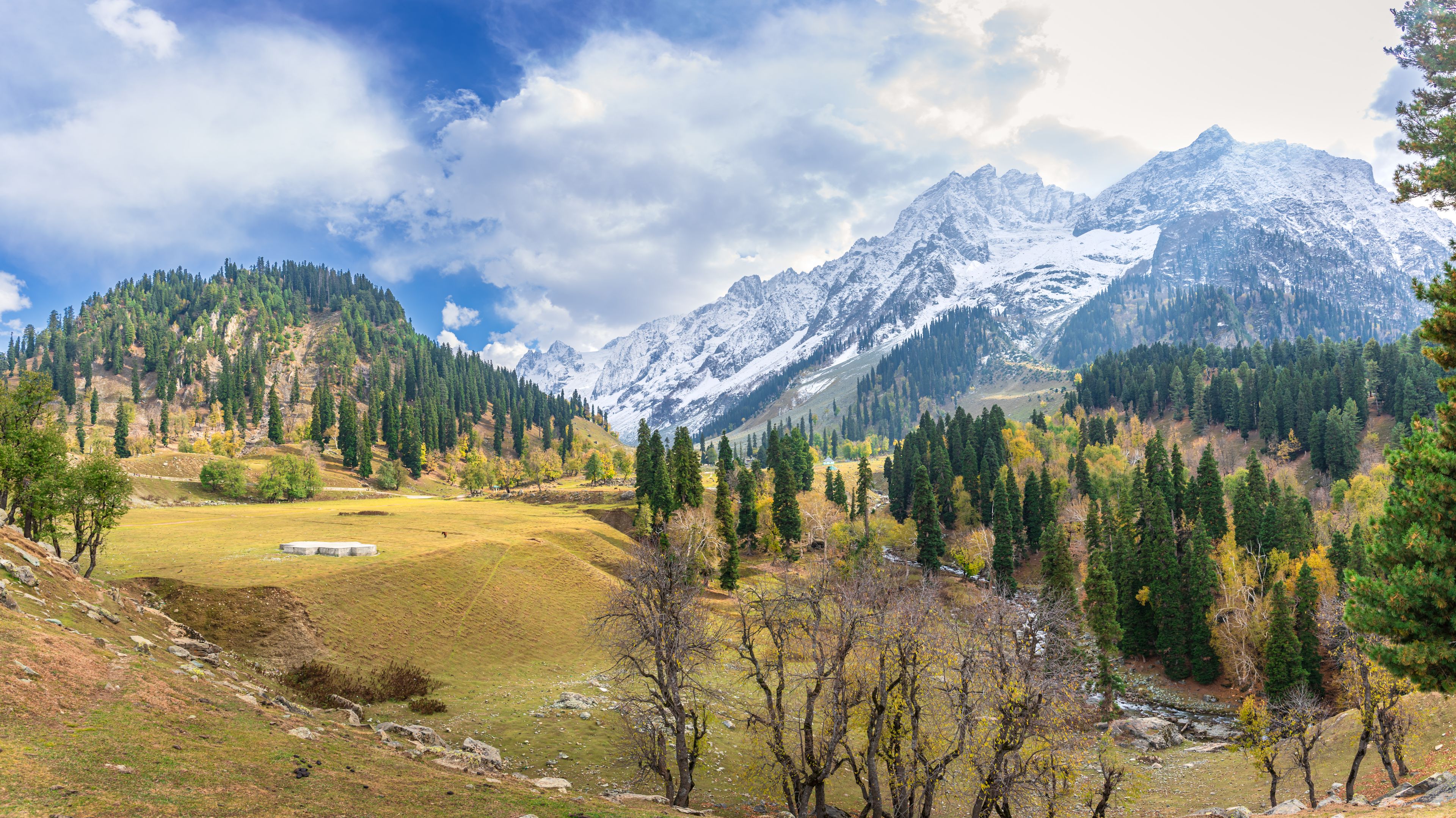 A mountainous landscape with snow-capped peaks, a valley with autumn-colored trees, and a clear sky.