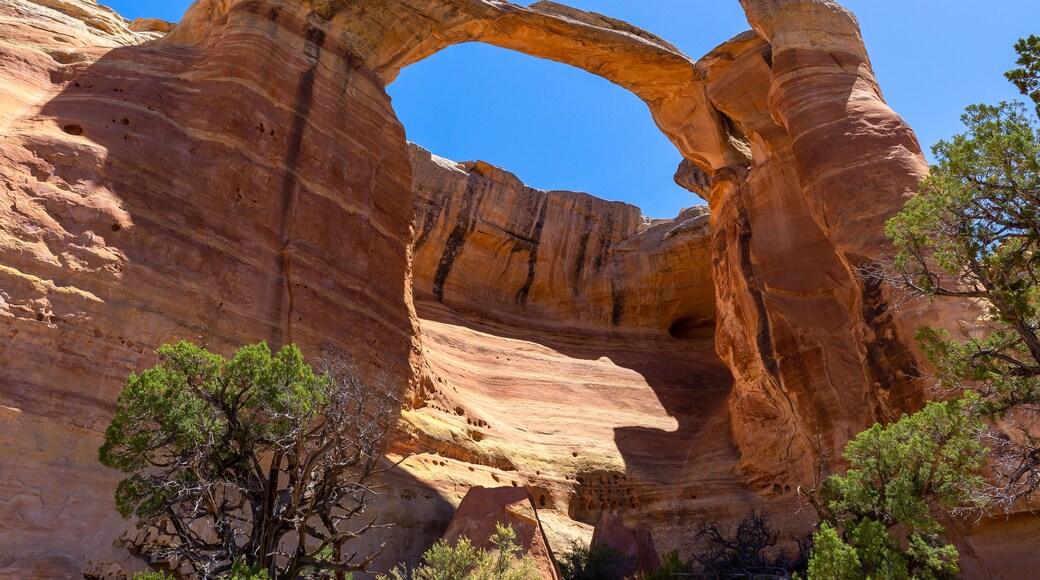 響尾蛇峽谷拱門