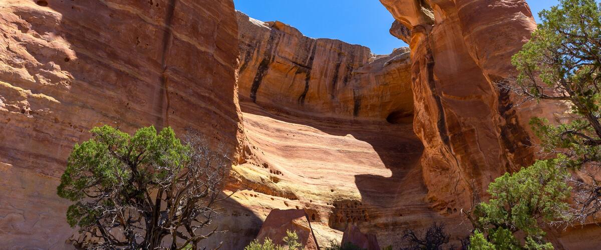 East Rim Arch at Rattlesnake Canyon in McInnis Canyons National Conservation Area, Colorado State, USA