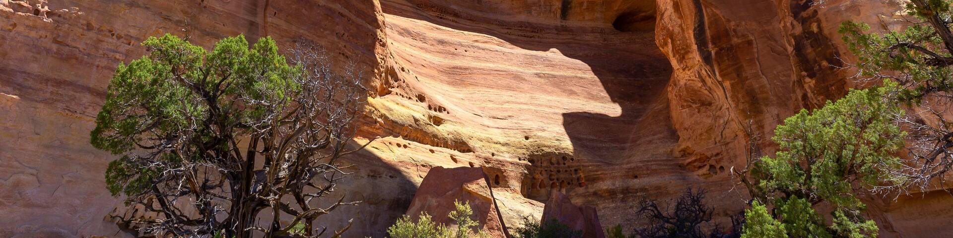 A large rock arch formation with trees in the foreground.