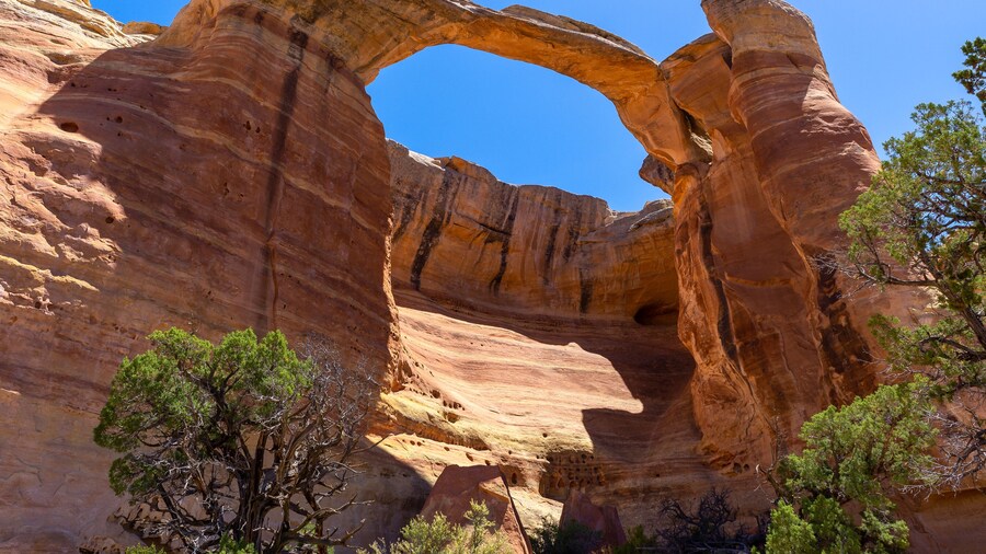Rattlesnake Canyon Arches