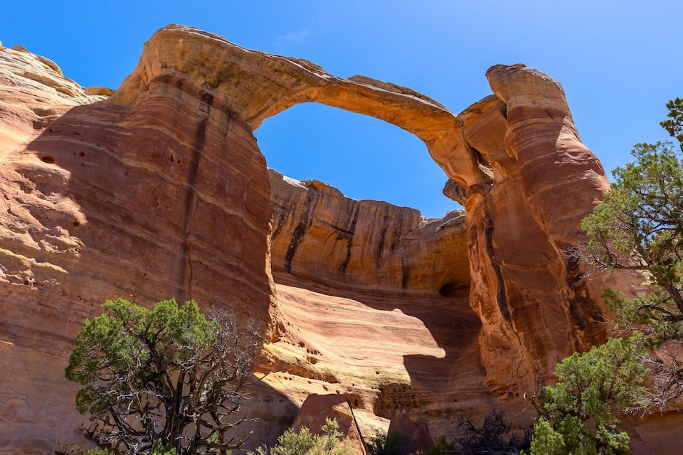 Un gran arco natural de roca con árboles en primer plano.