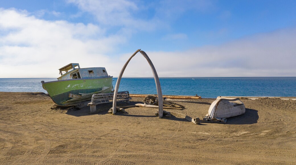 Whale Bone Arch