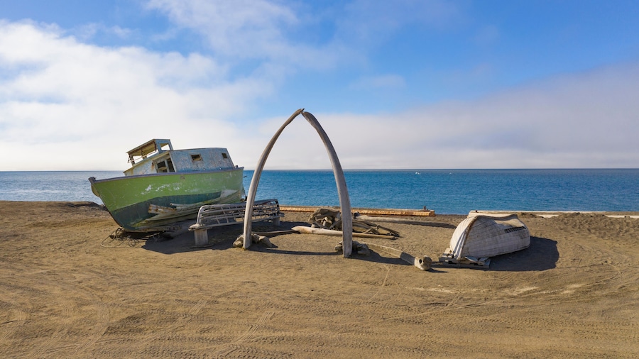 Whale Bone Arch