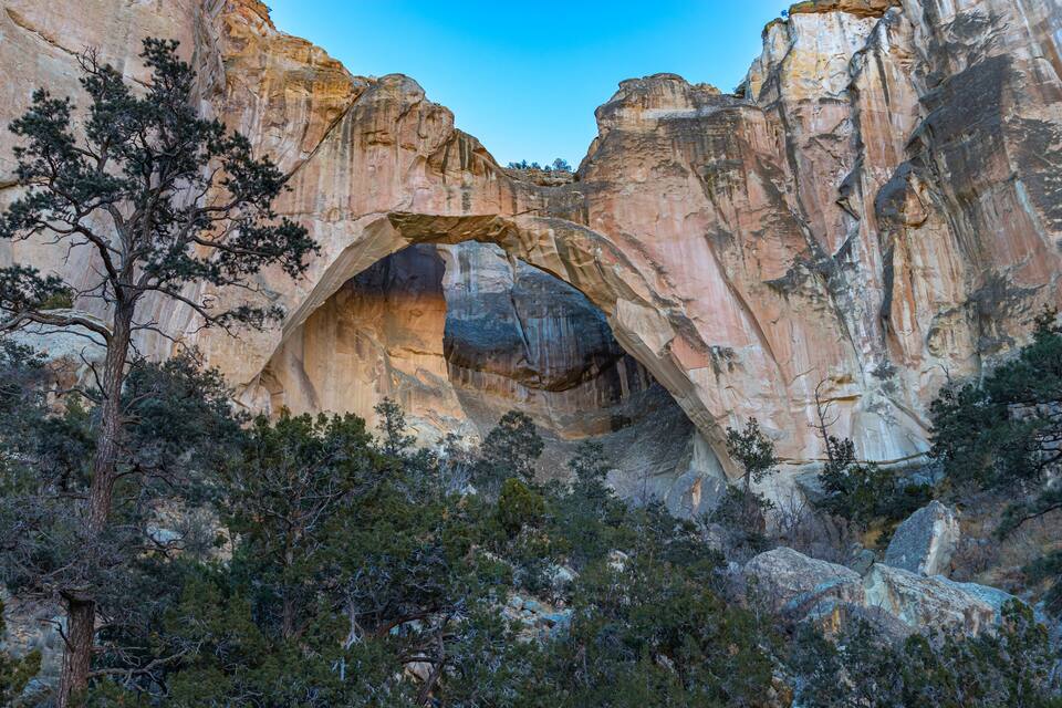 A natural rock arch formation surrounded by trees.