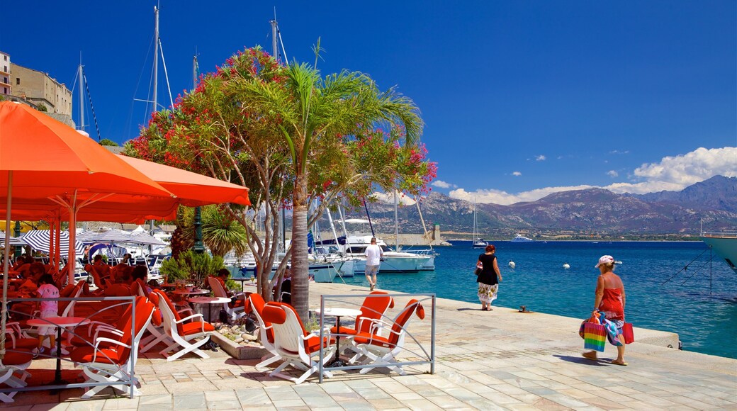 Noord-Corsica toont een baai of haven en een jachthaven