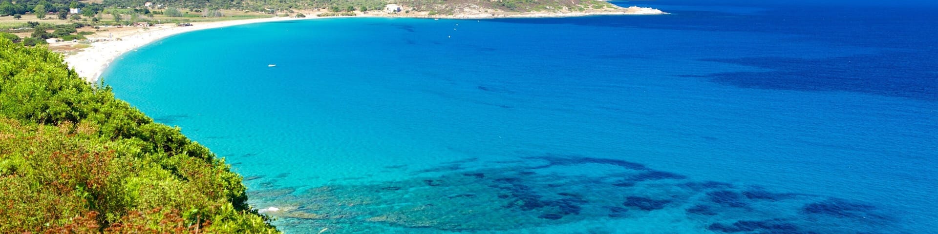 Calvi showing general coastal views