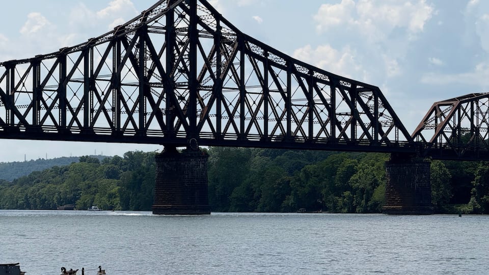 A large steel bridge over a body of water with ducks swimming below.