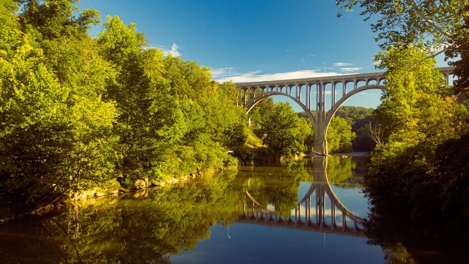 A bridge over a calm river surrounded by dense green trees.