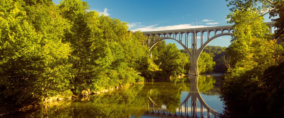 A bridge over a calm river surrounded by dense green trees.