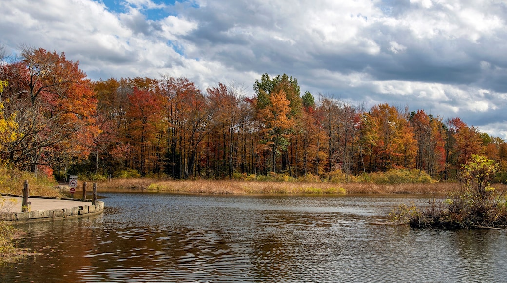 A Fall Day at the Lake