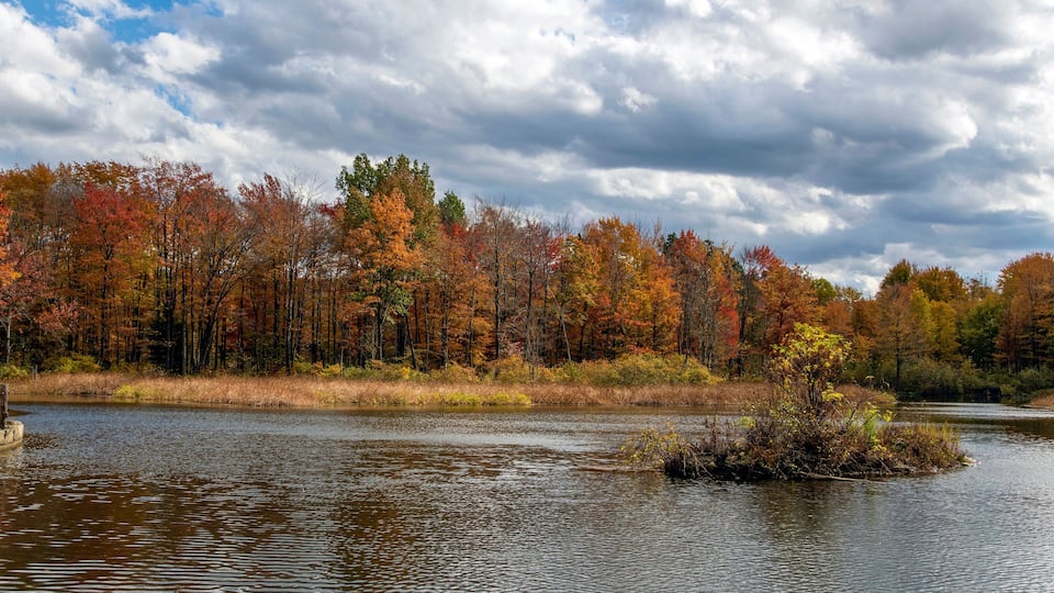 A river surrounded by autumn-colored trees.