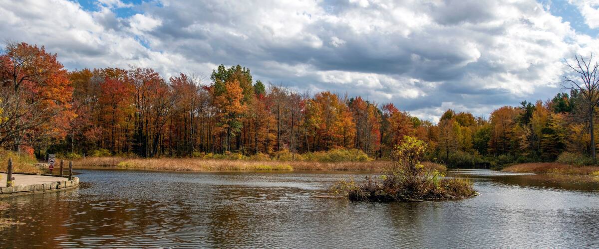 A river surrounded by autumn-colored trees.
