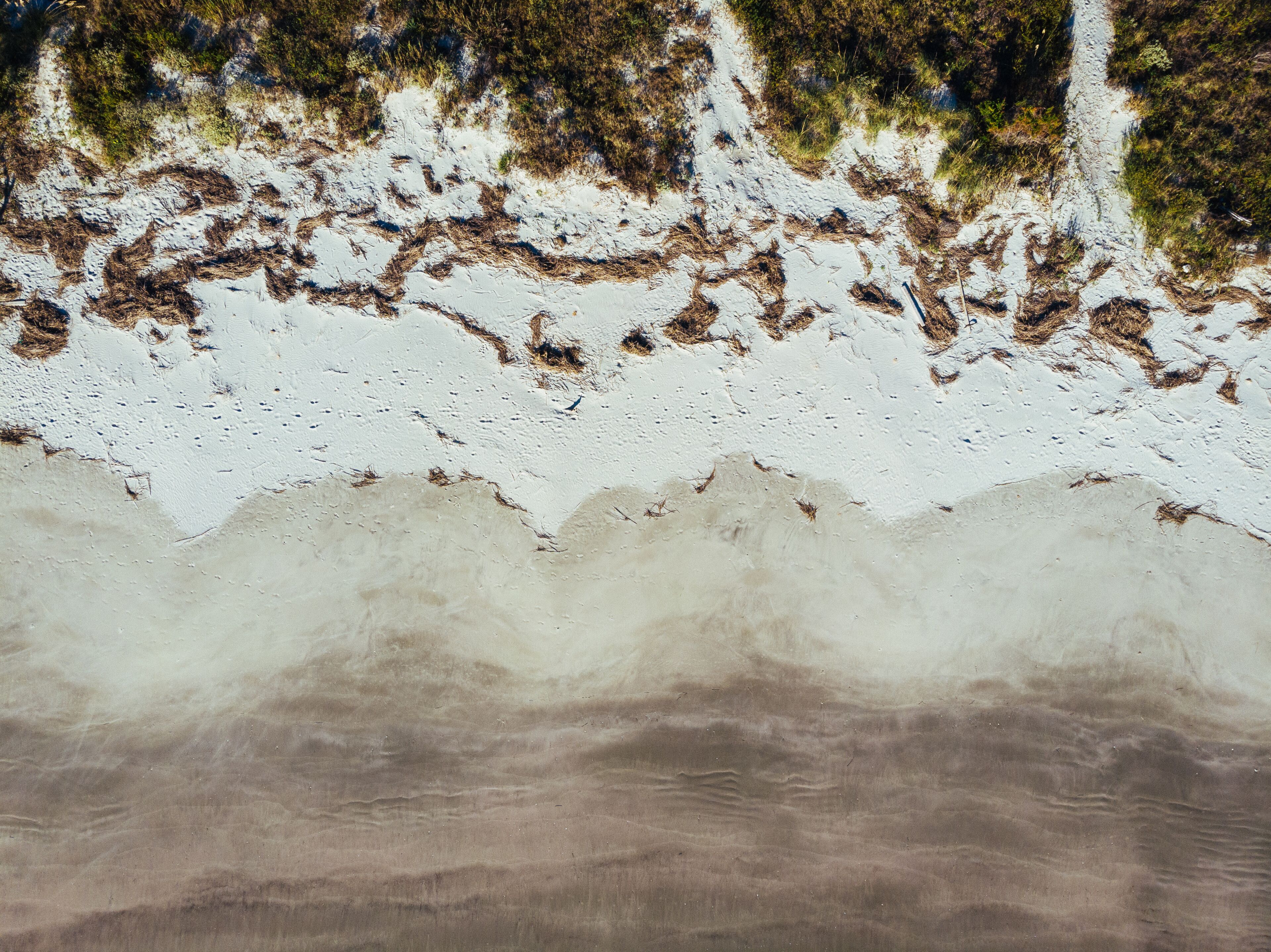 A beach with white sand and patches of seaweed.