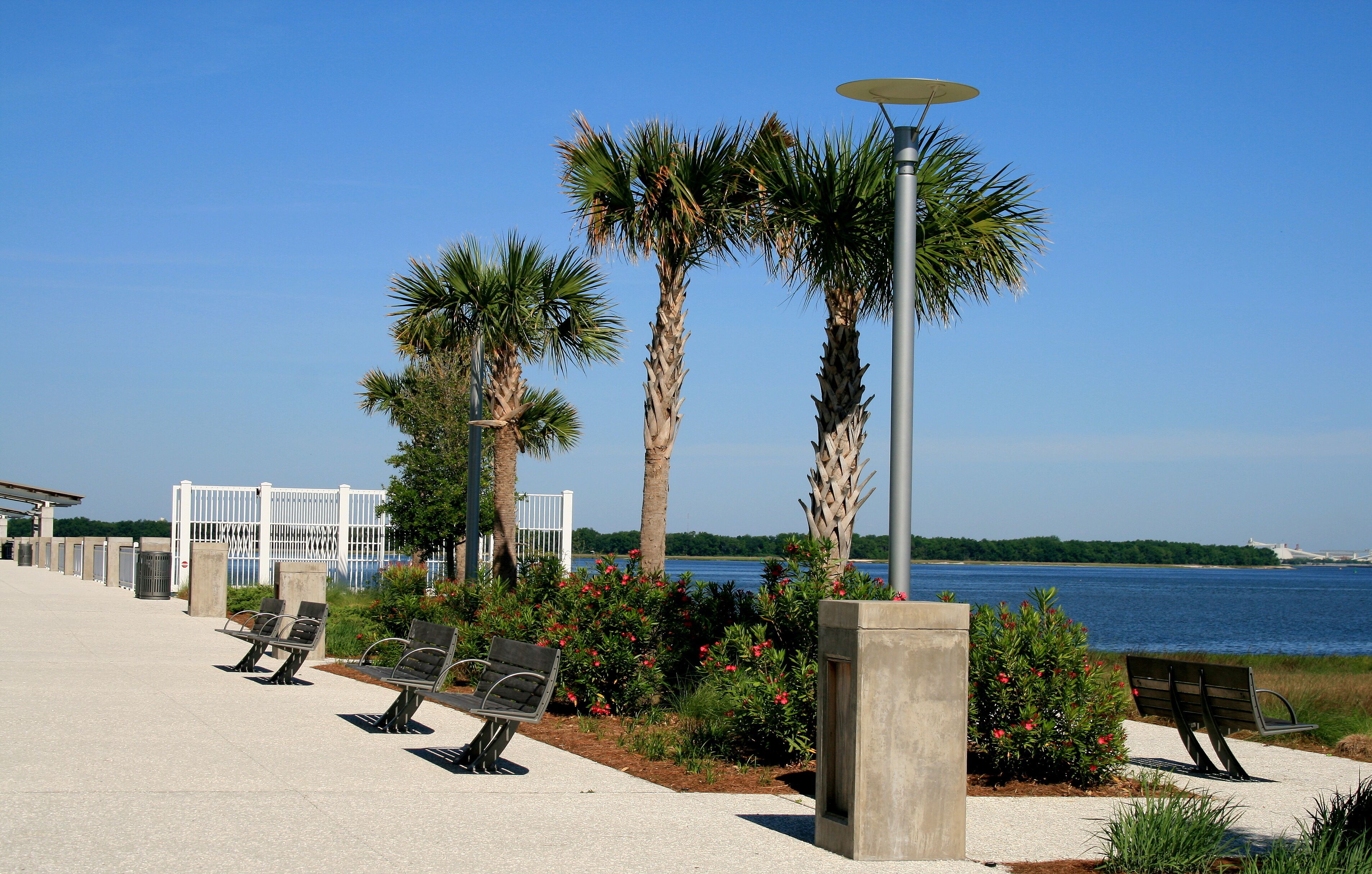 A waterfront promenade with benches, palm trees, and a view of the water.