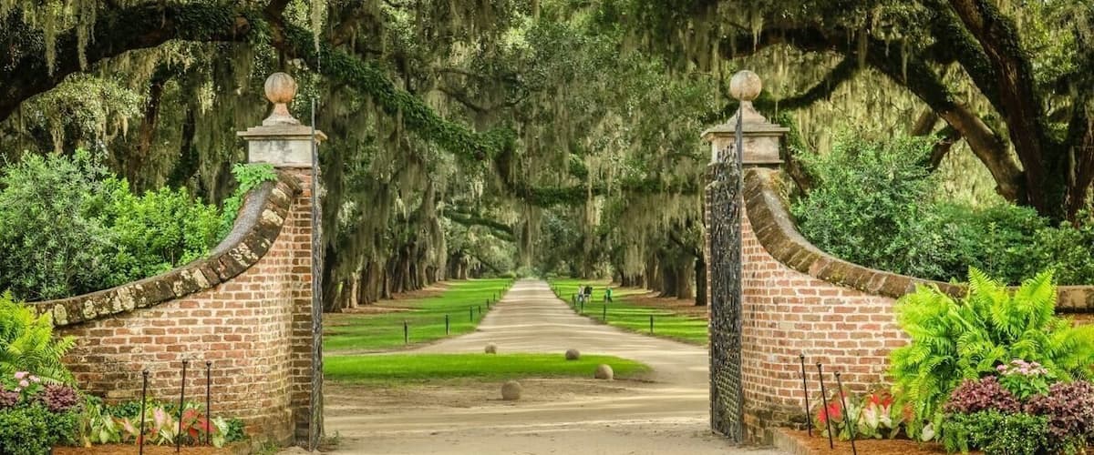 When I visited the Boone Hall plantation and photograph the area this was probably my favorite photo from the group, it is the view if you were leaving the main house and leaving the property you would drive or ride your horse of course under the mile long drive of old Live Oak trees that are over 300 years old.