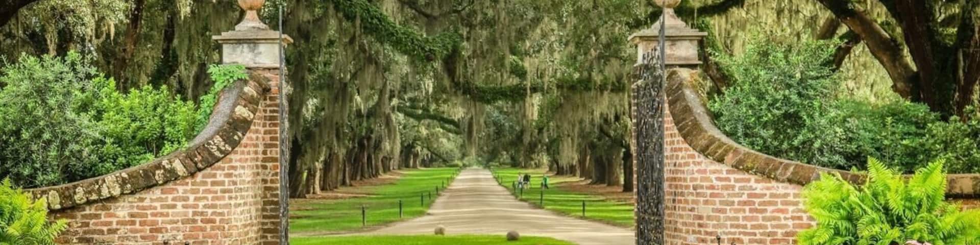 When I visited the Boone Hall plantation and photograph the area this was probably my favorite photo from the group, it is the view if you were leaving the main house and leaving the property you would drive or ride your horse of course under the mile long drive of old Live Oak trees that are over 300 years old.