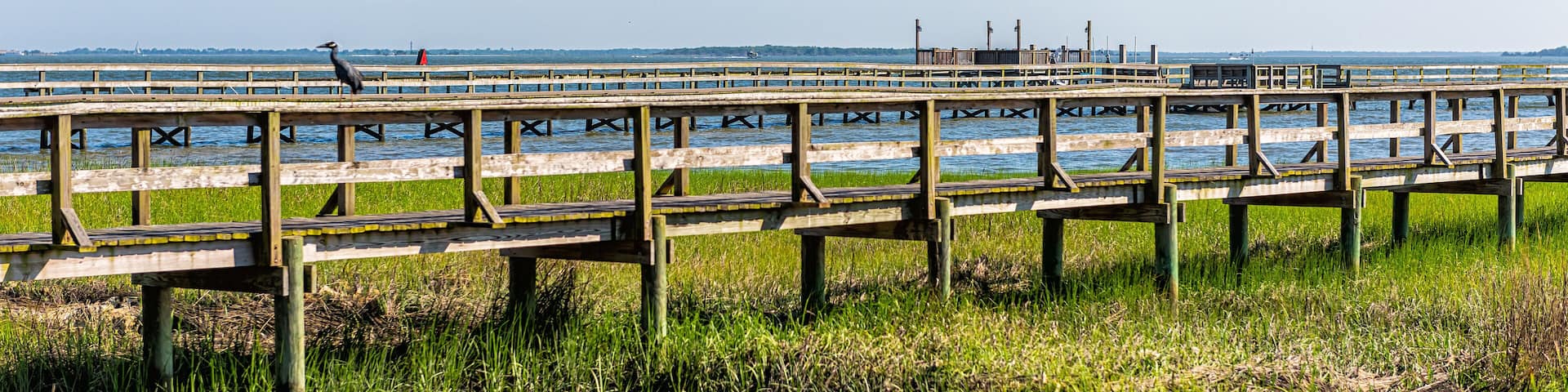 Hog Island Channel water from Mount Pleasant in Charleston, South Carolina with wooden docks pier and green grass landscape view in southern town village