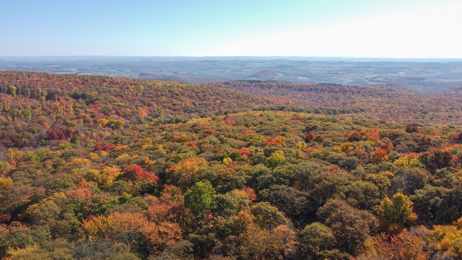 Fall colors surround Beams Rock at Linn Run State Park in Ligonier, Pennsylvania.