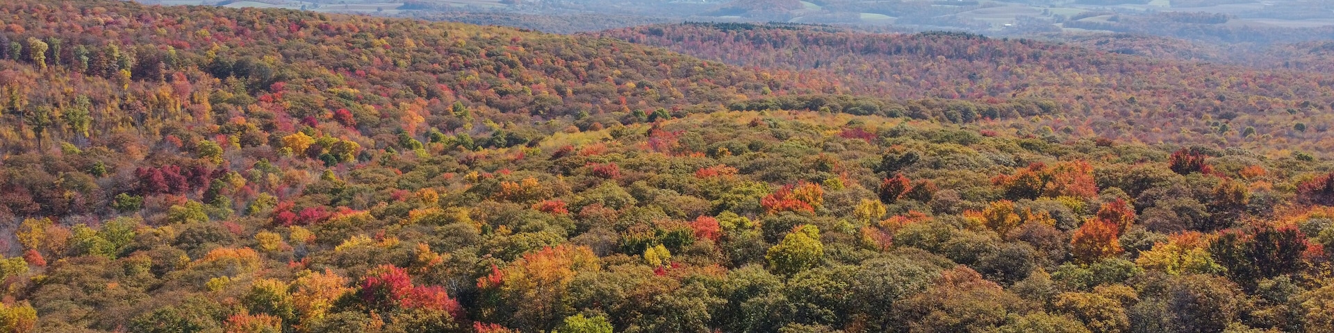 Fall colors surround Beams Rock at Linn Run State Park in Ligonier, Pennsylvania.