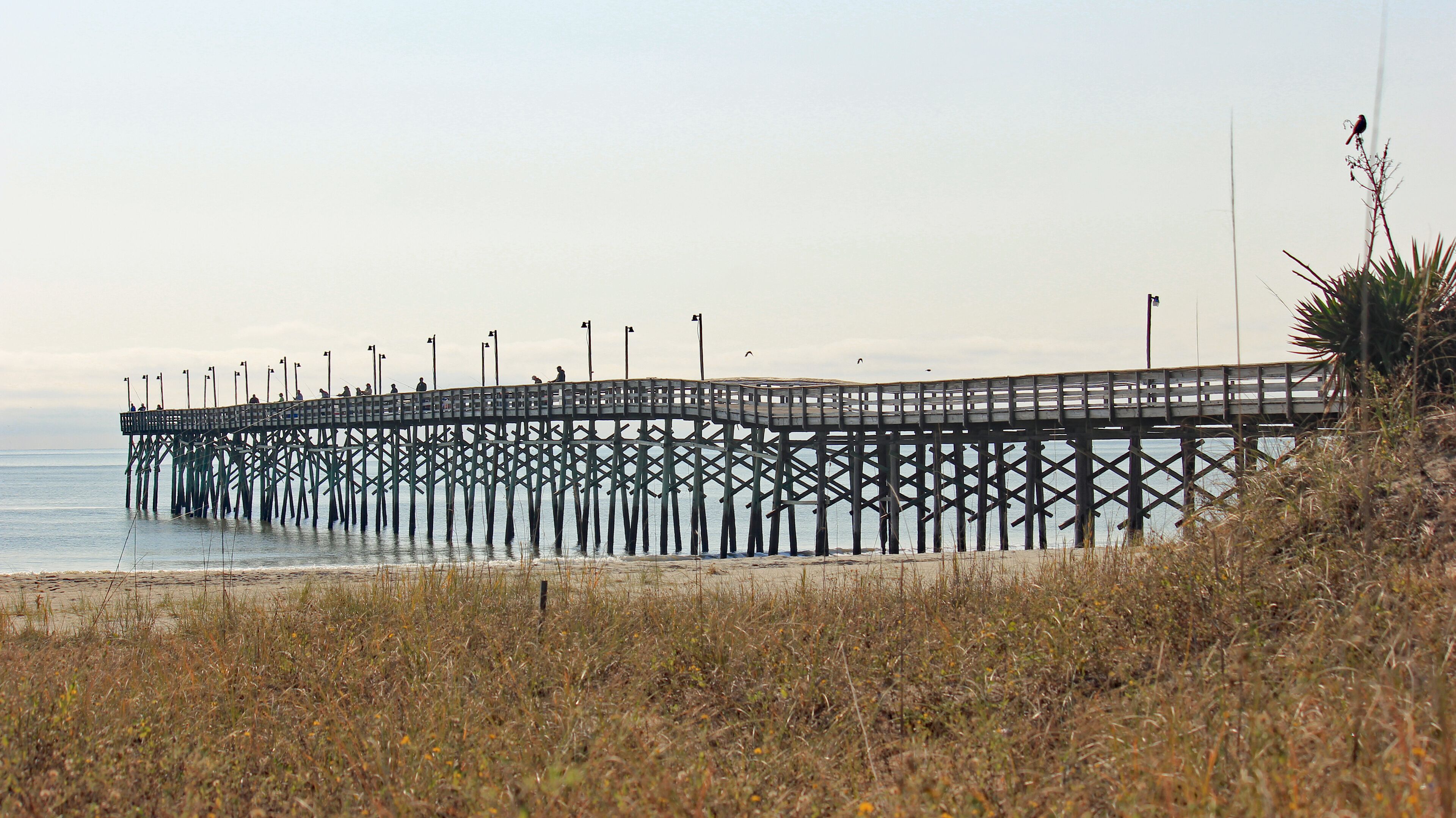 
依水而居的热门住宿
