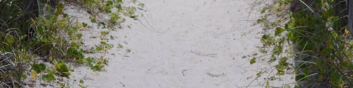 Bridge from condo to beach