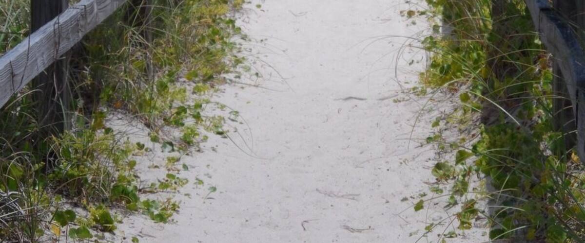 Bridge from condo to beach