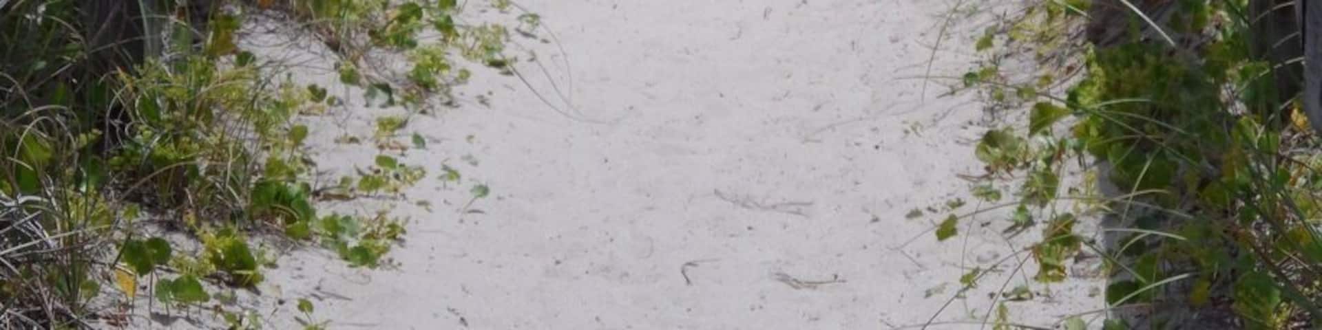 Bridge from condo to beach