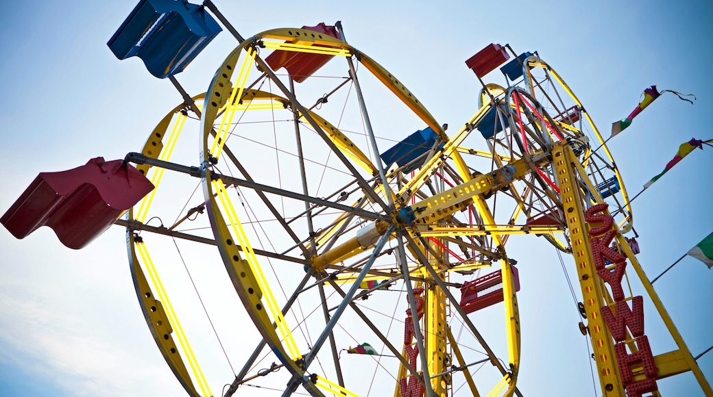 卡羅萊納灘 设有 騎乘