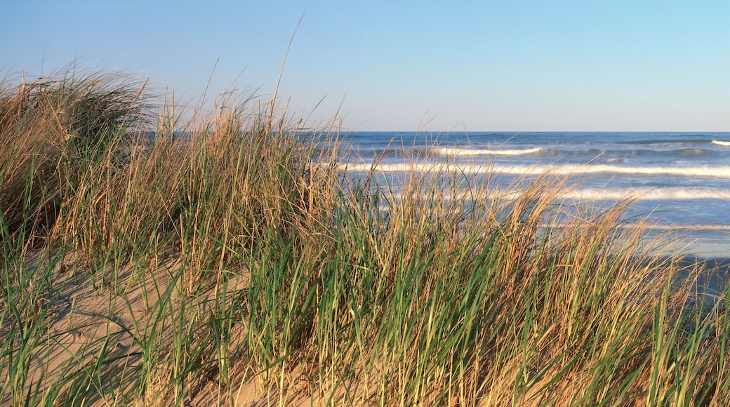 Atlantic Ocean At Sunset, Cape Hatteras, North Carolina