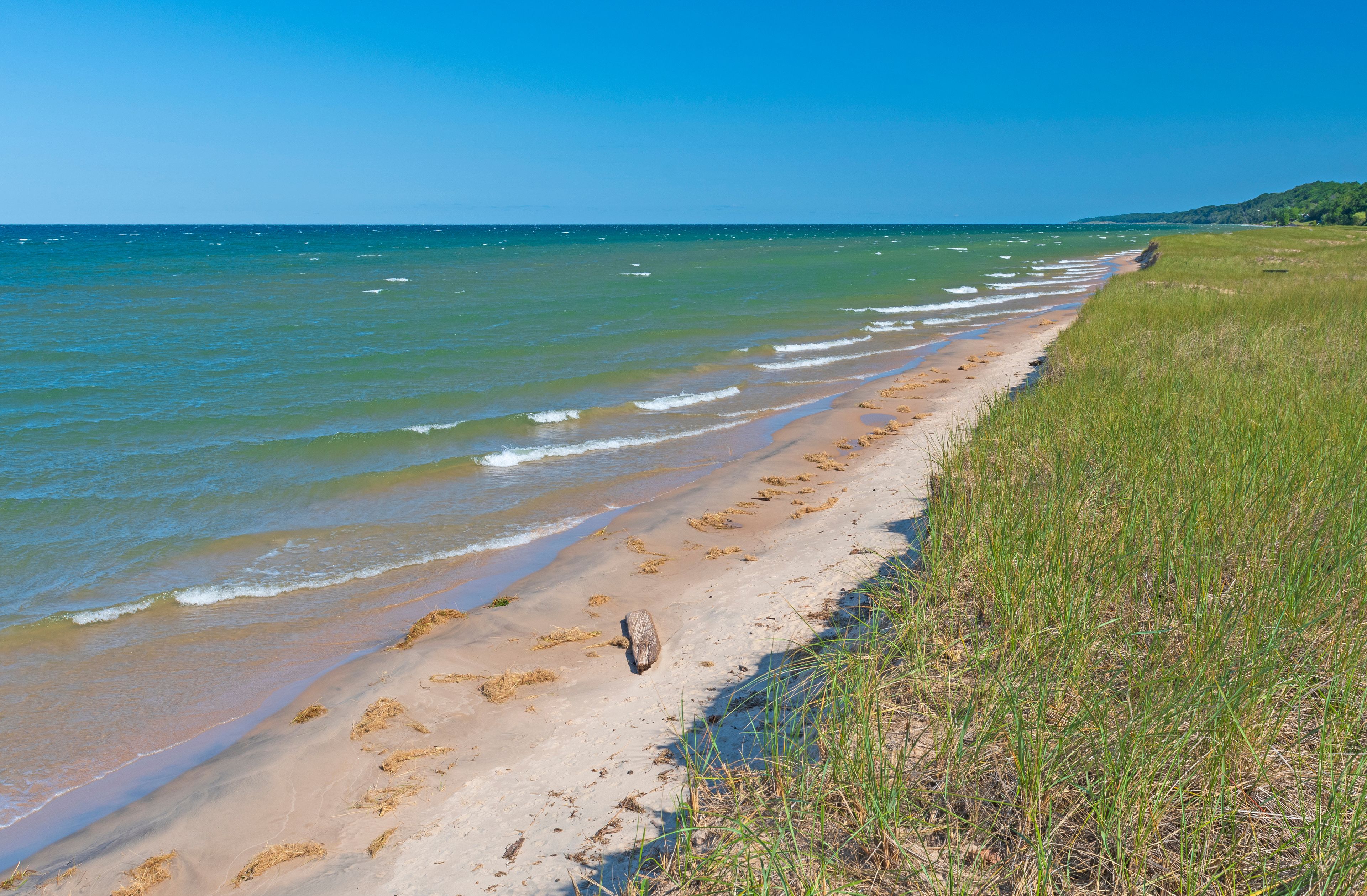Une plage de sable fin aux vagues douces, une zone herbeuse et un ciel bleu dégagé.