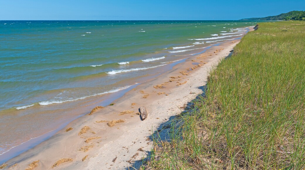 Une plage de sable fin aux vagues douces, une zone herbeuse et un ciel bleu dégagé.
