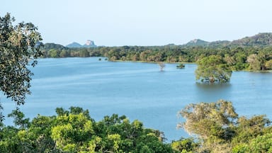 Kandalama Lake in central Sri Lanka