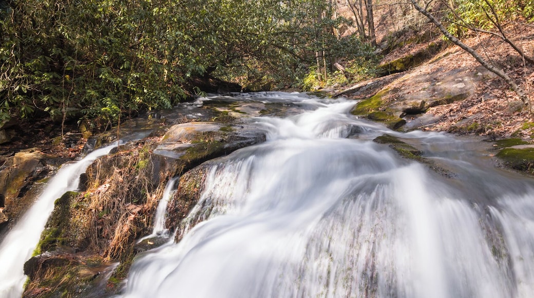 One of the many small falls along North Shoals Creek.