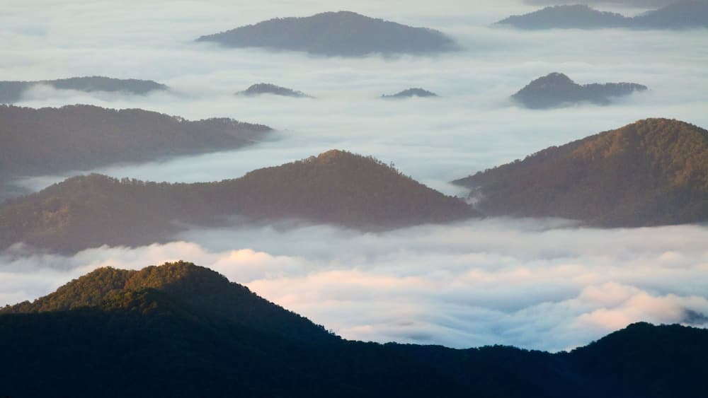 Great Smoky Mountains National Park