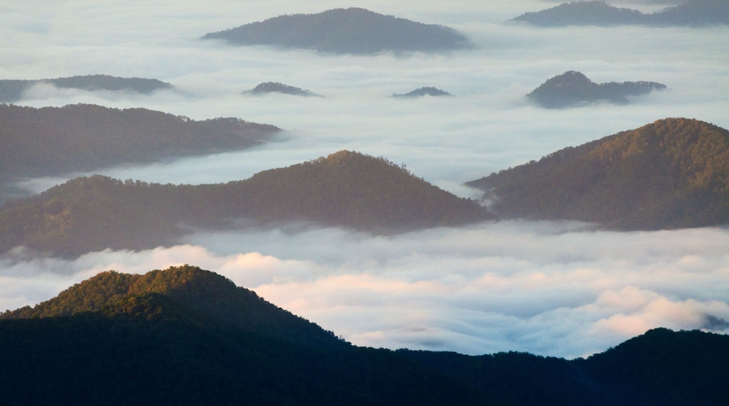 Great Smoky Mountains National Park