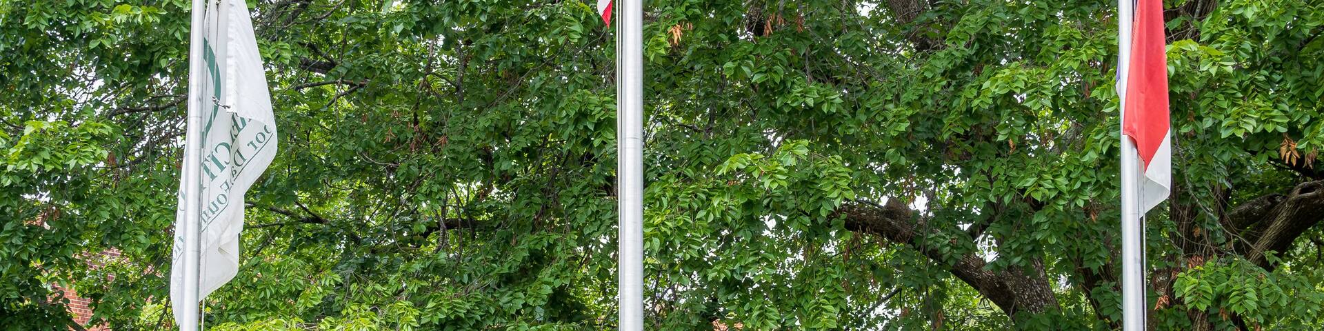 A flagpole with multiple flags, a large decorative sign, and a tree in the background.