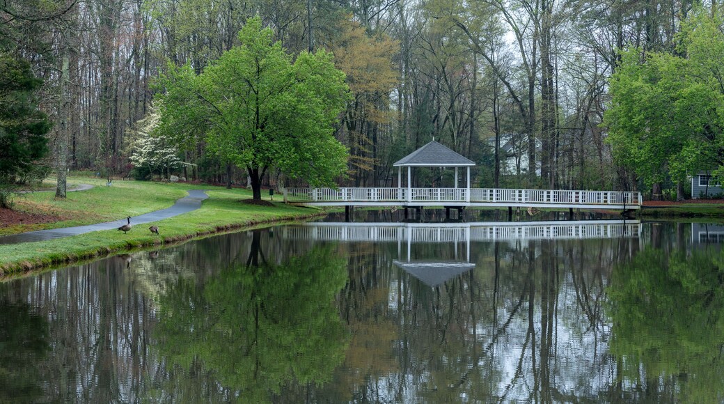 Gazebo on bridge going over pond