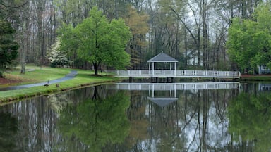 Gazebo on bridge going over pond