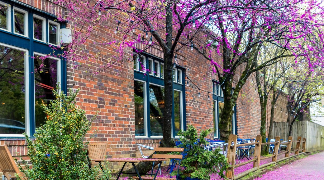 Blue table and chairs at a restaurant with beautiful flowering trees